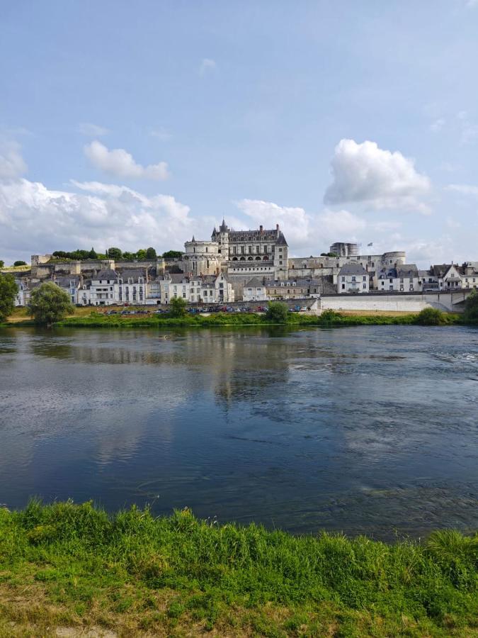 Vila Le Nid De L'Ile Amboise Exteriér fotografie